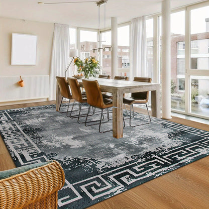 Concise Light Luxury Carpets for Living Room Fluffy Carpet