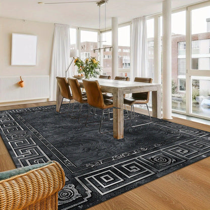 Concise Light Luxury Carpets for Living Room Fluffy Carpet