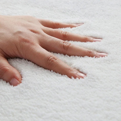 Minimalism Style Carpet Living Room Decoration Fluffy Soft